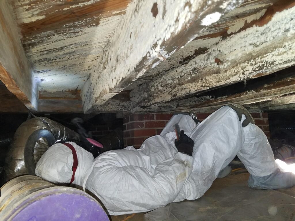 Crawl Space & Attic Restoration​ Swift Restore pro