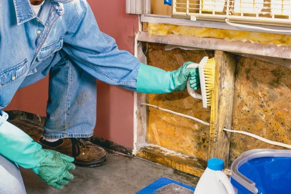 Mold-Remediation_How-to-Remove-Mold_Hidden Moisture & Mold Control Swift Restore Pro